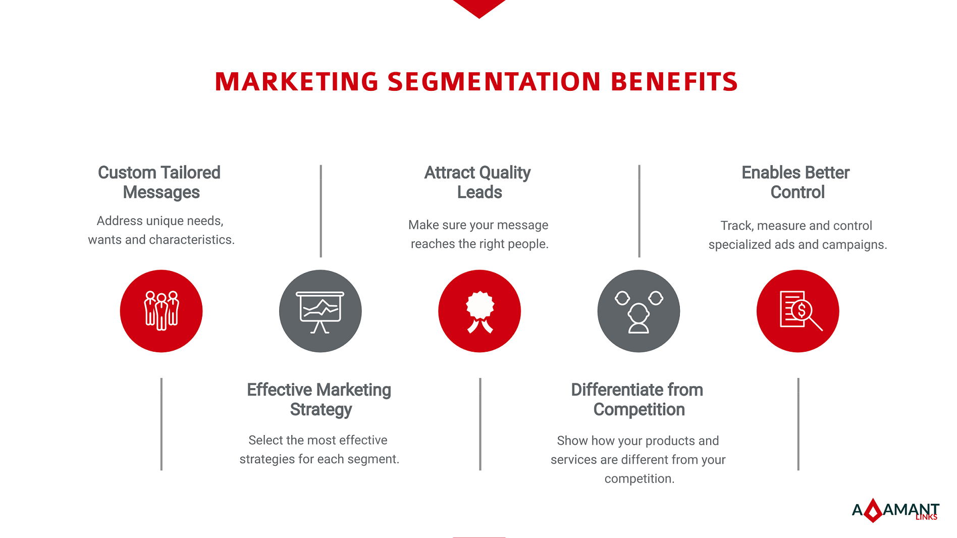 Adamant Links - Market Segmentation Benefits